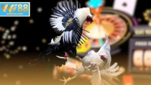 Ưu điểm của sảnh Đá Gà WS168 tại WI88